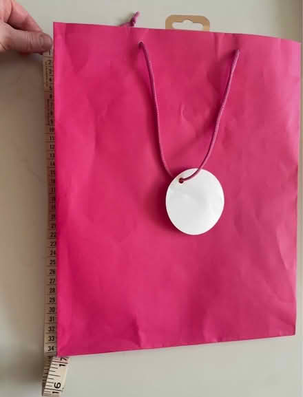 Photo of free Pink gift bag (SW16) #1
