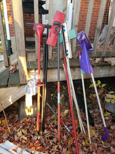Photo of free Mops (399 river rd) #1