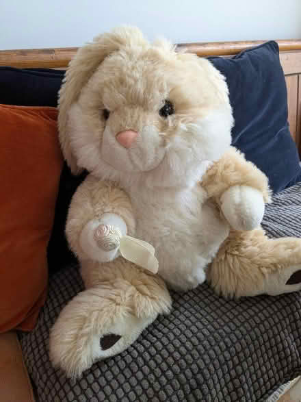 Photo of free Cuddly rabbit (Hove Green BN3) #1