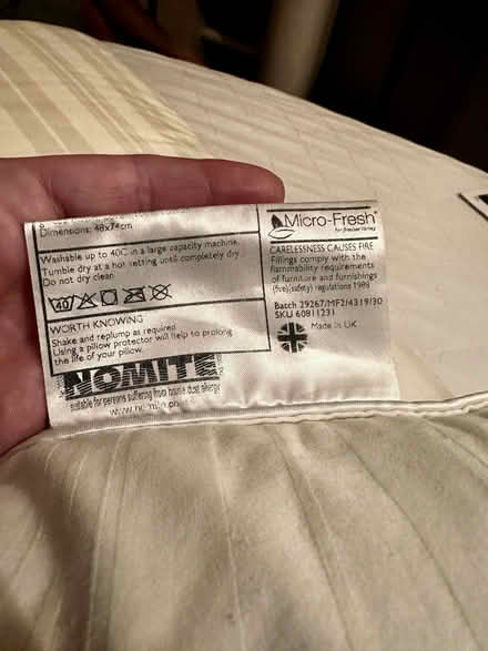 Photo of free 2 x Goose Feather Pillows (Kingston Upon Thames KT1) #2