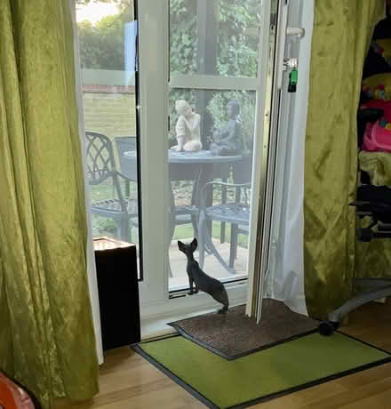 Photo of free Moss/Olive eyelet curtains 90x90 (Chandlers Ford SO53) #2