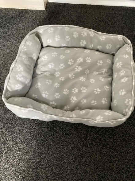 Photo of free Cat Bed & Litter tray (Sittingbourne ME10) #1