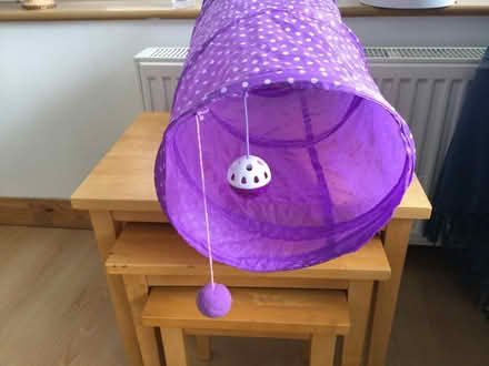 Photo of free Cat play tunnel. (Eye) #3