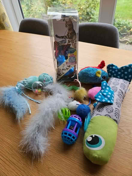 Photo of free Cat Toys (Boldmere B73) #1