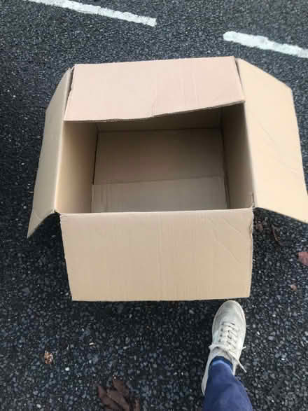 Photo of free Empty boxes (Shepherds Bush) #1