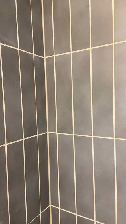 Photo of free Blue wall tiles (Fishponds BS16) #3