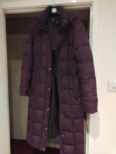 Photo of free Purple feather down coat size 10 (Frome BA11) #1