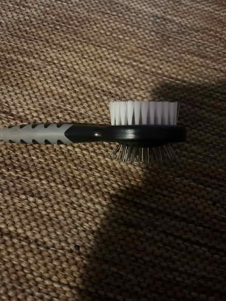 Photo of free Grooming brush animals (RG2 Shinfield) #1