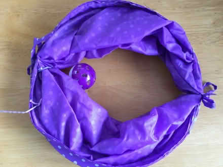 Photo of free Cat play tunnel. (Eye) #1