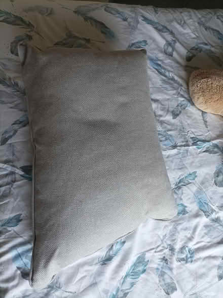 Photo of free Sofa cushions or stuffing (Bromyard) #1