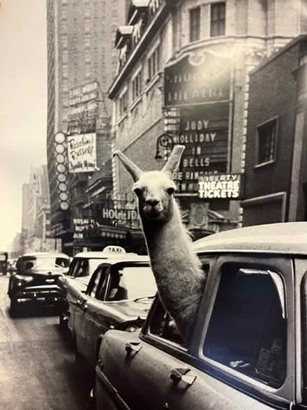 Photo of free Assorted posters (Ickford HP18) #2