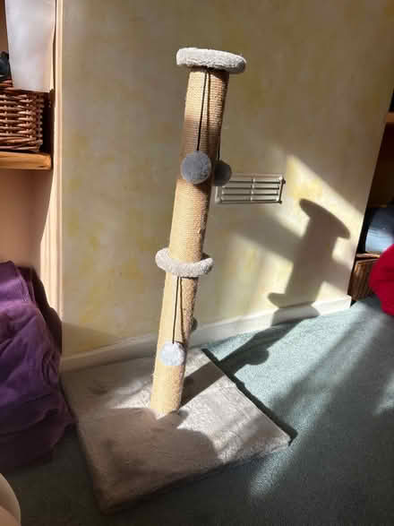 Photo of free Small scratch post (BN2) #1