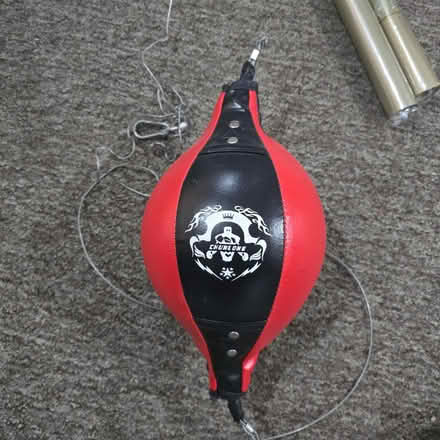 Photo of free Double ended boxing speed ball (Enfield EN3) #1