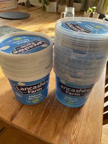 Photo of free Large yoghurt pots (Stepney E1) #1