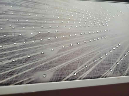 Photo of free Framed White Peacock Art Print (New Longton PR4 4) #2
