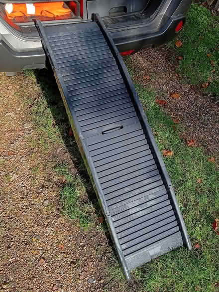 Photo of free Folding Dog Ramp (Bletsoe MK44) #2