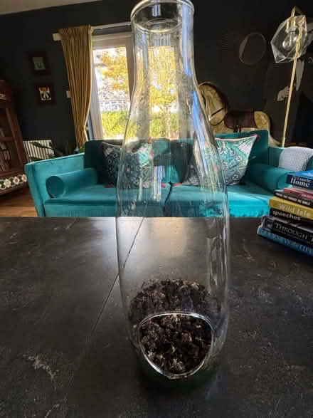 Photo of free Terrarium (Giffnock G46) #3