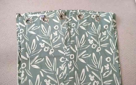 Photo of free Pair of Dunelm eyelet olive green curtains (Anchorsholme FY5) #3