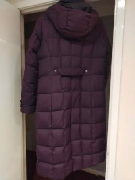 Photo of free Purple feather down coat size 10 (Frome BA11) #2