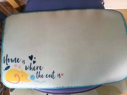 Photo of free Plastic mat to protect floors from pet food. (Eye) #1