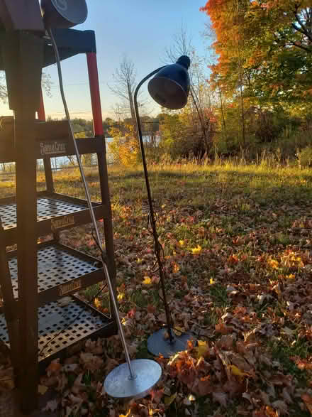 Photo of free Lamps (399 river rd) #1