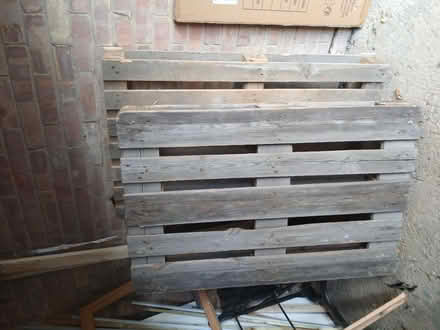 Photo of free 2 pallets (Borehamwood WD6) #1