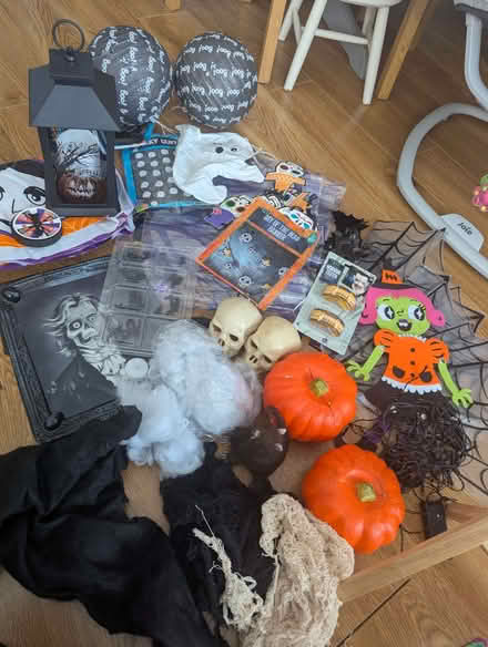 Photo of free Halloween decorations (Northolt HA4) #1