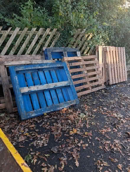 Photo of free Wooden pallets (Sherwood PR2) #1
