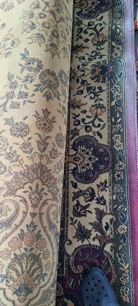 Photo of free 11 x 8 area rug (Southeast Pittsfield) #1