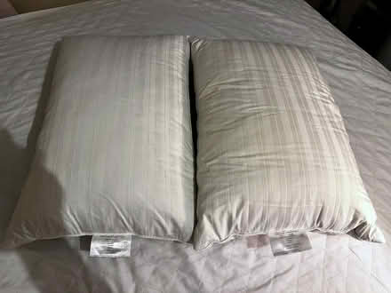 Photo of free 2 x Goose Feather Pillows (Kingston Upon Thames KT1) #3
