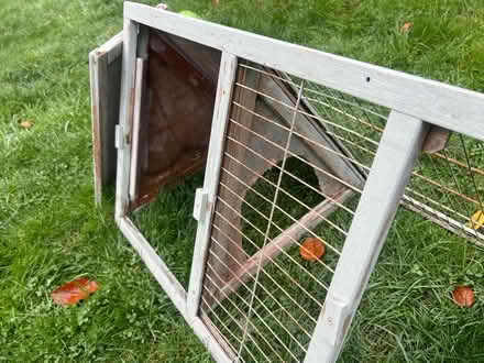Photo of free Chicken / Tortoise Run or House (Sevenoaks TN13) #4