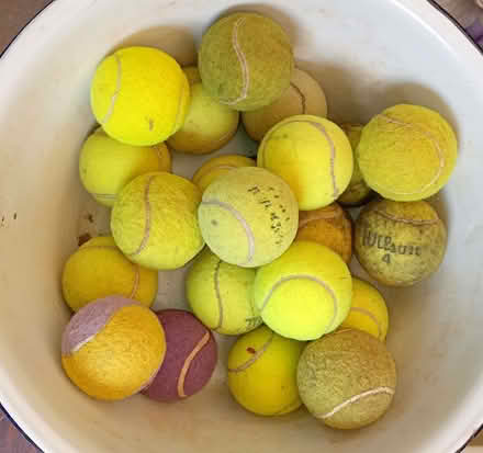 Photo of free 21 Used Tennis Balls for dog walking (Harlington UB3) #1