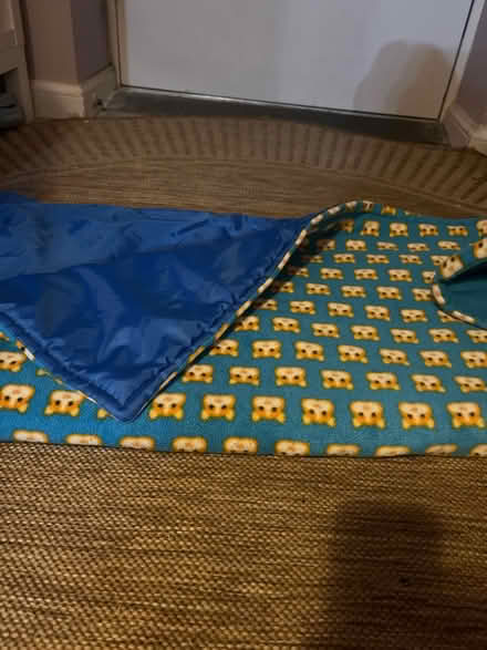 Photo of free C&C guinea pig/ Rabbit cage liner (RG2 Shinfield) #3