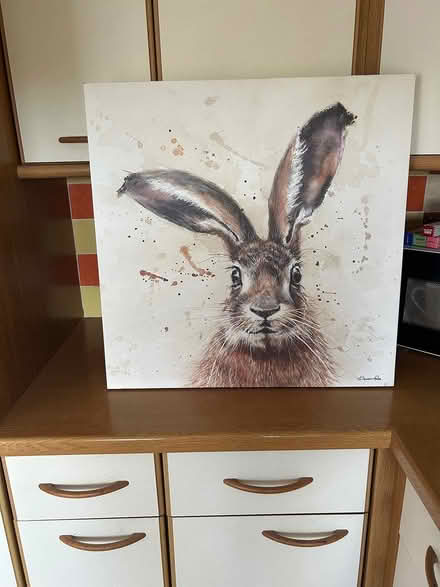 Photo of free Picture (Ware SG12) #1