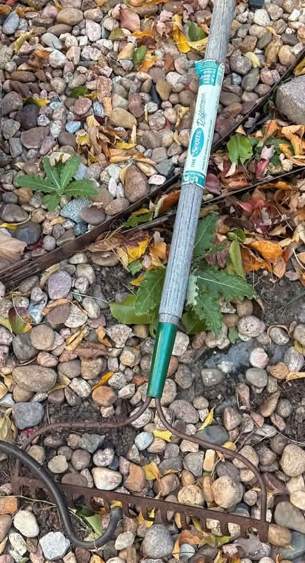 Photo of free Rake - heavy duty style (SE Aurora near Southlands Mall) #1