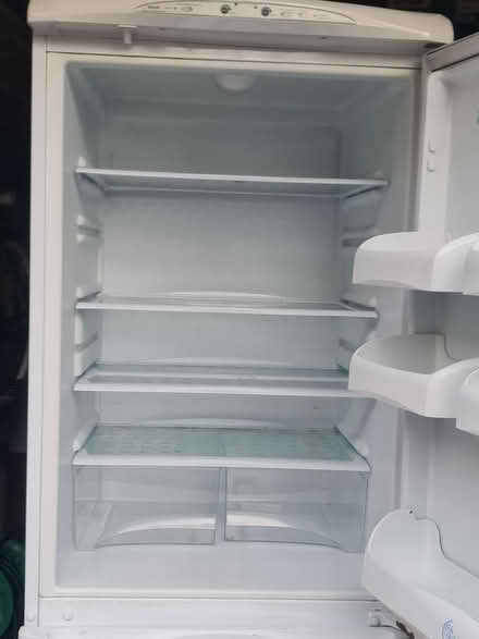 Photo of free 60cm Fridge/Freezer Accessories (Bovingdon) #1