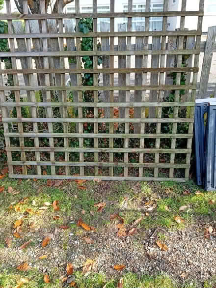 Photo of free Heavy duty trellis 6'x6' (Bletsoe MK44) #1