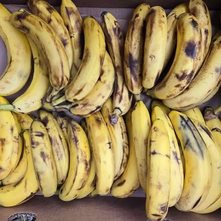 Photo of free Over Ripe Bananas (Chiquita Av MtnVw) #1