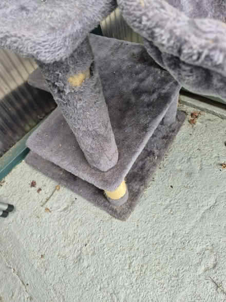 Photo of free cat tree (N17 the roundway) #2