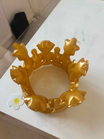 Photo of free Inflatable crown (Westcroft MK4) #2