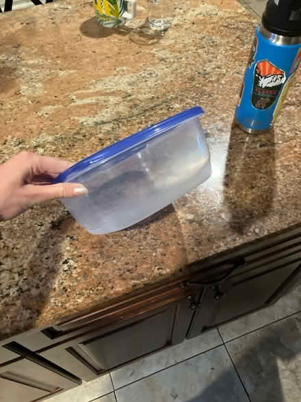 Photo of free Large Tupperware (Capitol Hill by Lincoln park) #2