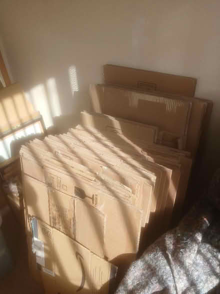 Photo of free 35 flattened cardboard moving boxes (Mile House TS19) #1