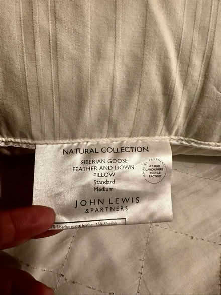 Photo of free 2 x Goose Feather Pillows (Kingston Upon Thames KT1) #1