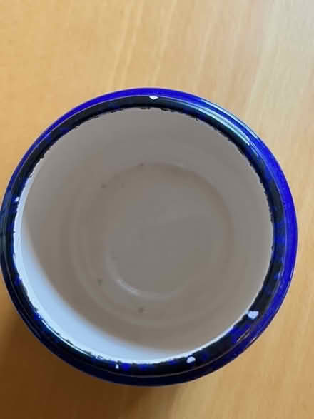 Photo of free Decorative Plant Pot (west of Watertown Square) #2