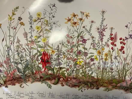 Photo of free Assorted posters (Ickford HP18) #3