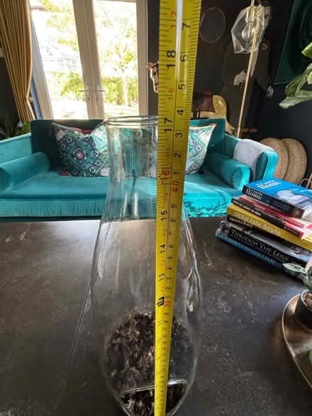 Photo of free Terrarium (Giffnock G46) #4