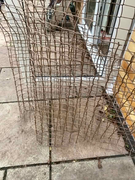 Photo of free Trellis wire. (Hillmorton CV21) #1