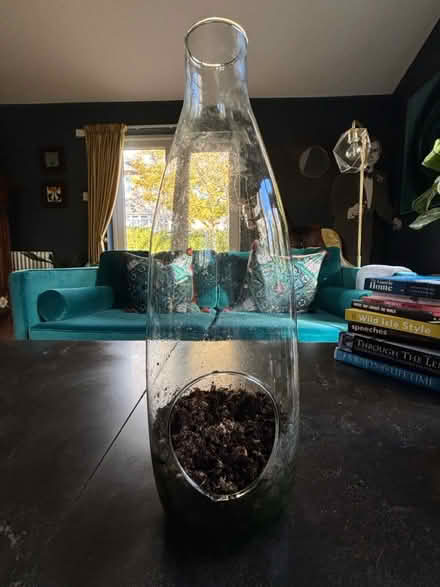 Photo of free Terrarium (Giffnock G46) #1