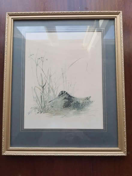 Photo of free Picture frame (Stroud central) #1