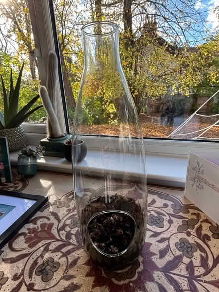 Photo of free Terrarium (Giffnock G46) #2
